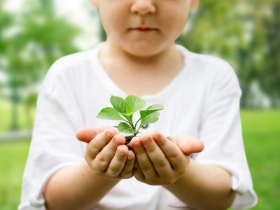 dicas sustentáveis para escolas